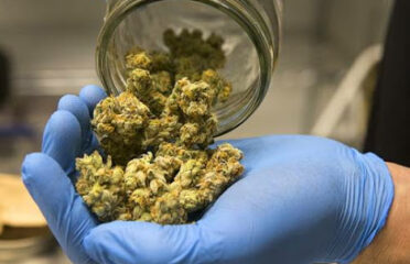 The Chronic Courier – Denver Marijuana Delivery