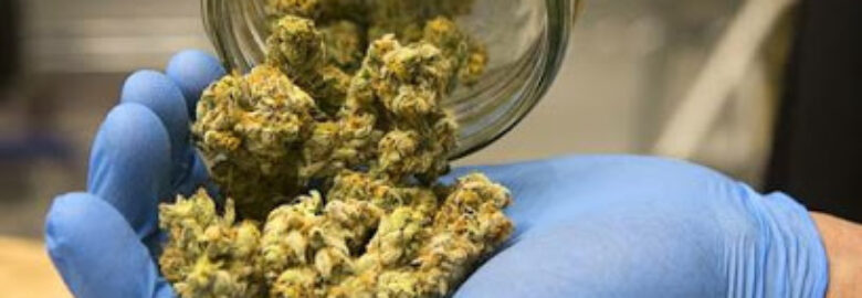 The Chronic Courier – Denver Marijuana Delivery