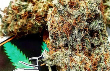 Medical Cannabis & Partners Marijuana Dispensary (MEDICAL ONLY)
