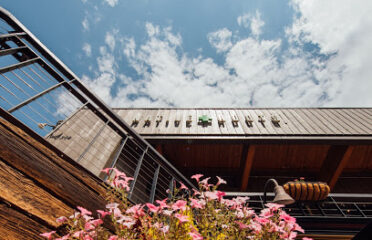 Native Roots Marijuana Dispensary Aspen