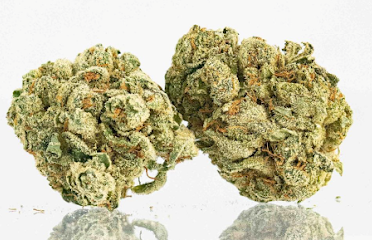 Northern Light Cannabis Co. – Recreational Marijuana Dispensary