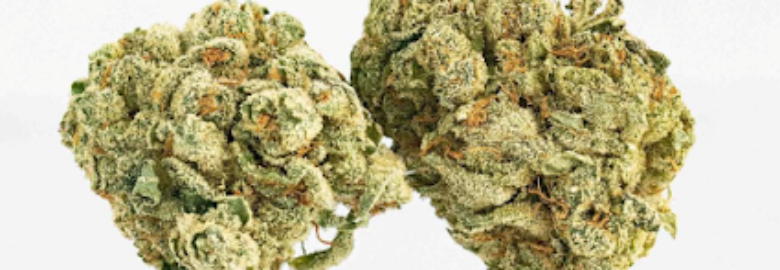 Northern Light Cannabis Co. – Recreational Marijuana Dispensary