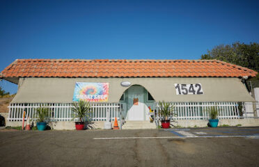 The Grateful Head Smoke Shop