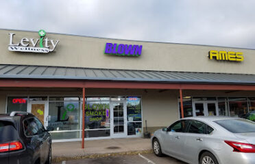 The BOMB Headshop At Blown Smoke Shop