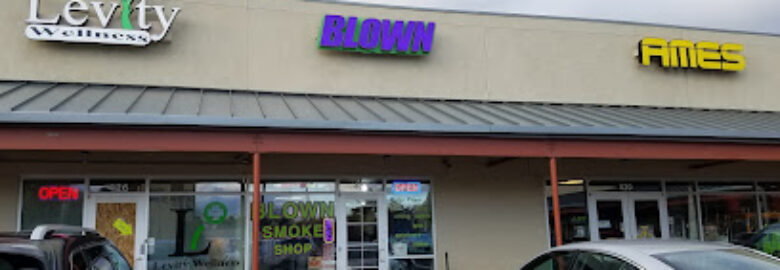 The BOMB Headshop At Blown Smoke Shop