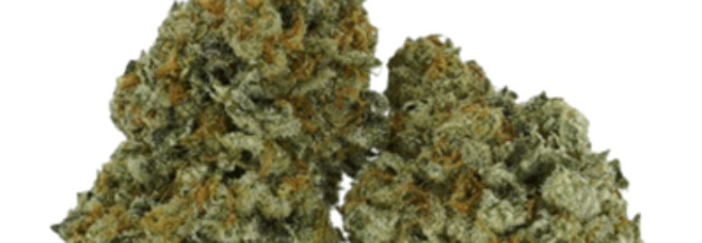 Mr.Clones