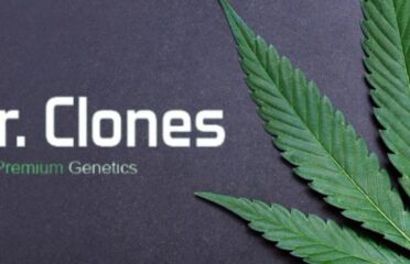 Mr.Clones