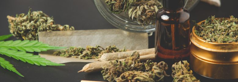 GasDank Weed Delivery Toronto